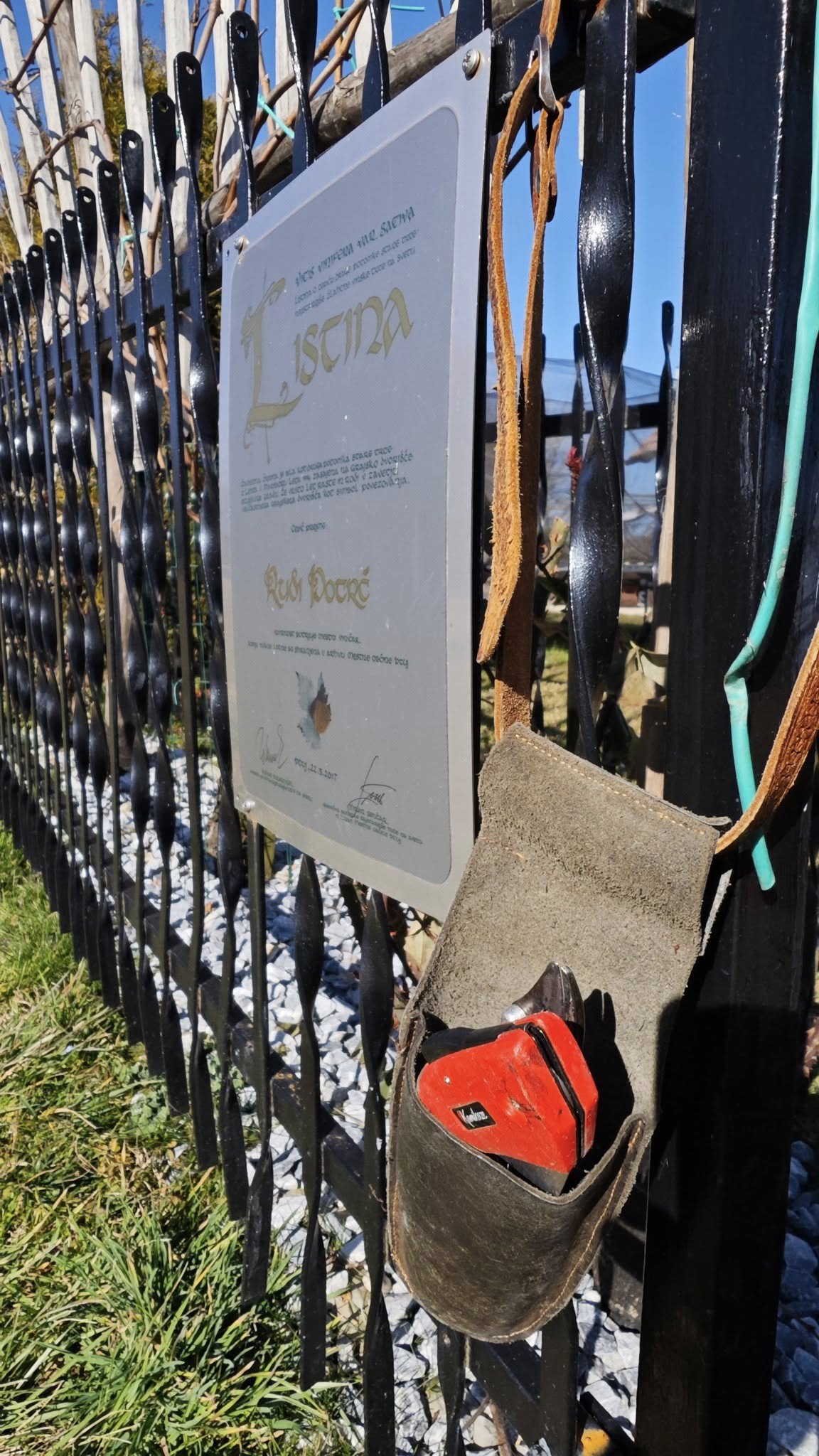 481915602 946203530966806 4643361016989677951 n